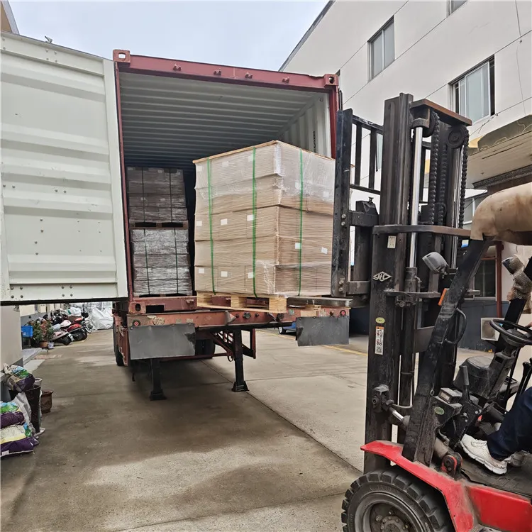 Egiptora 6.000 gerriko gerrikoak bidali genituen Egiptora